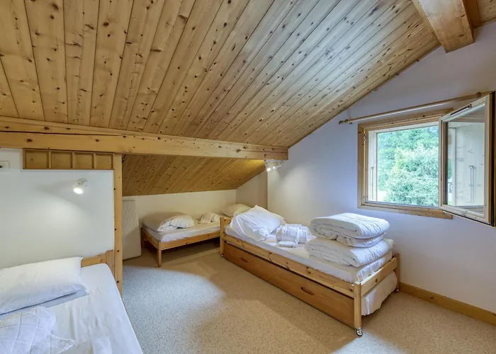 Allieres - Happy Chalet Chamonix